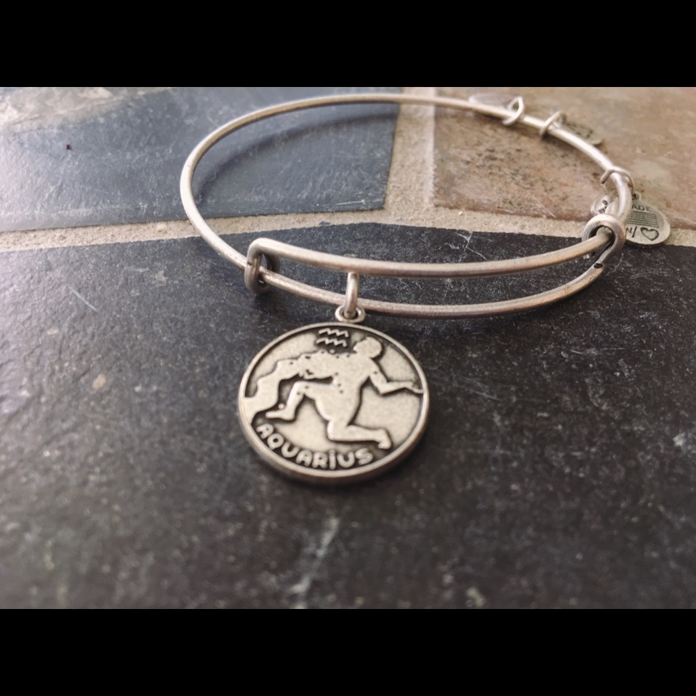 ✨ON SALE - Alex and Ani Aquarius Charm Bracelet 